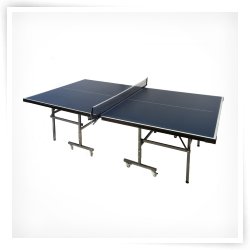  Lion Sports Fusion Table Tennis Table